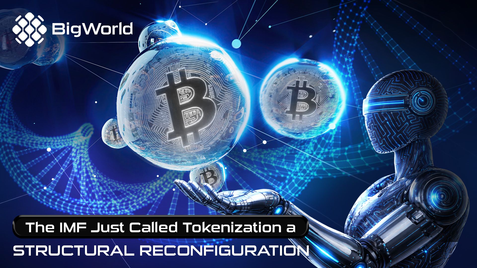 The IMF Just Called Tokenization a "Structural Reconfiguration"