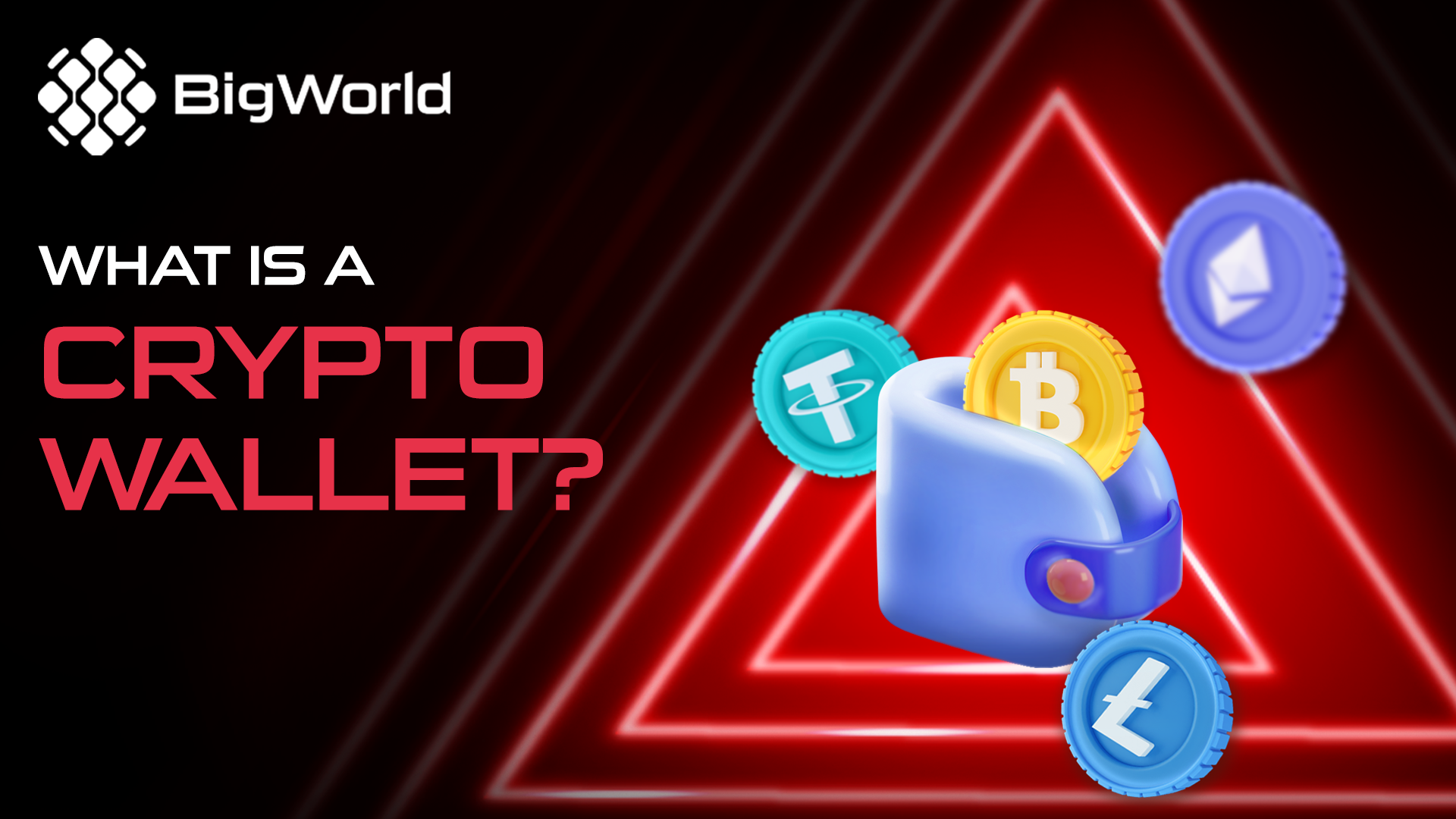 What Is a Crypto Wallet? A Guide to Choosing the Right One for You